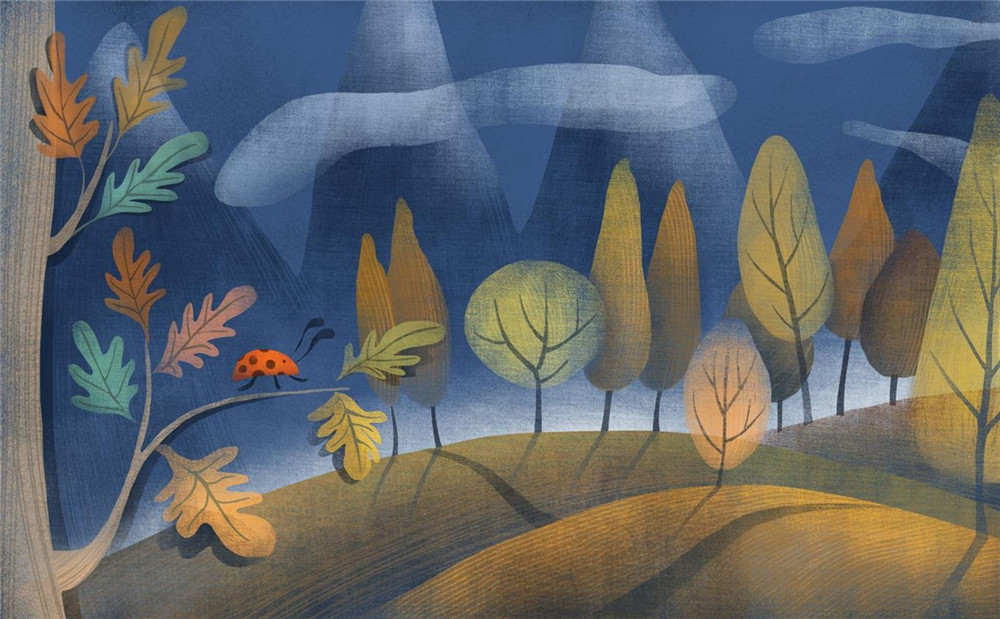 1579402354994181.jpg 4_副本.jpg