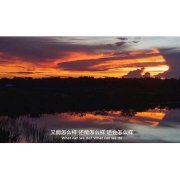 歌曲分享：女儿情remix