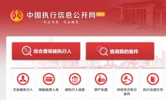 查征信、婚姻、交友借钱必备网址