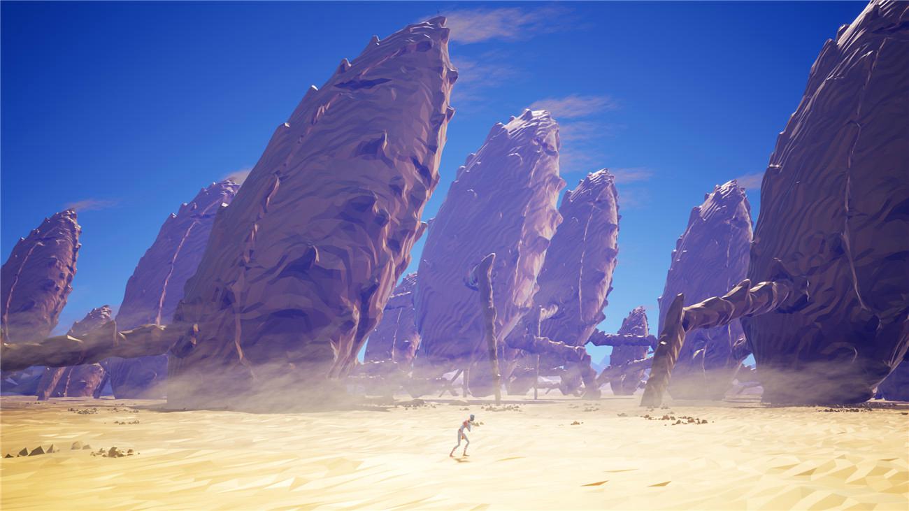 1594045893744299.jpg 2.jpg