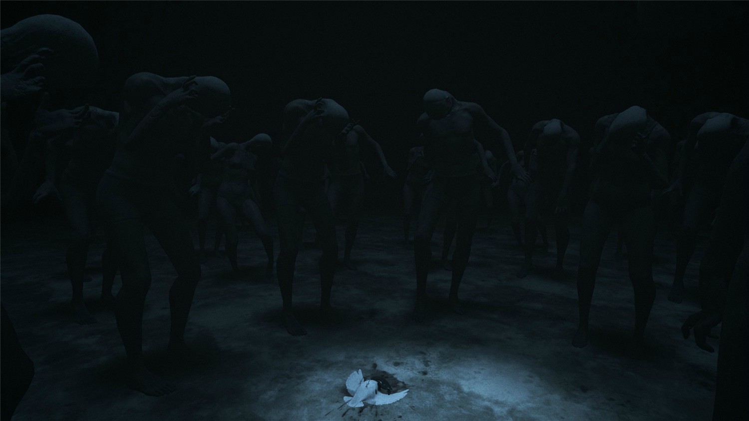 1604202712564341.jpg 2.jpg