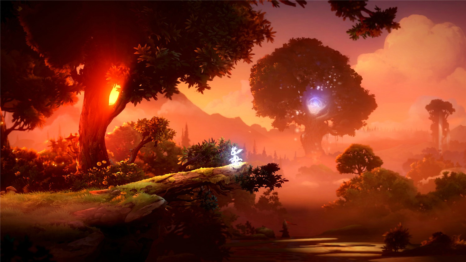 1604985493374390.jpg 2.jpg