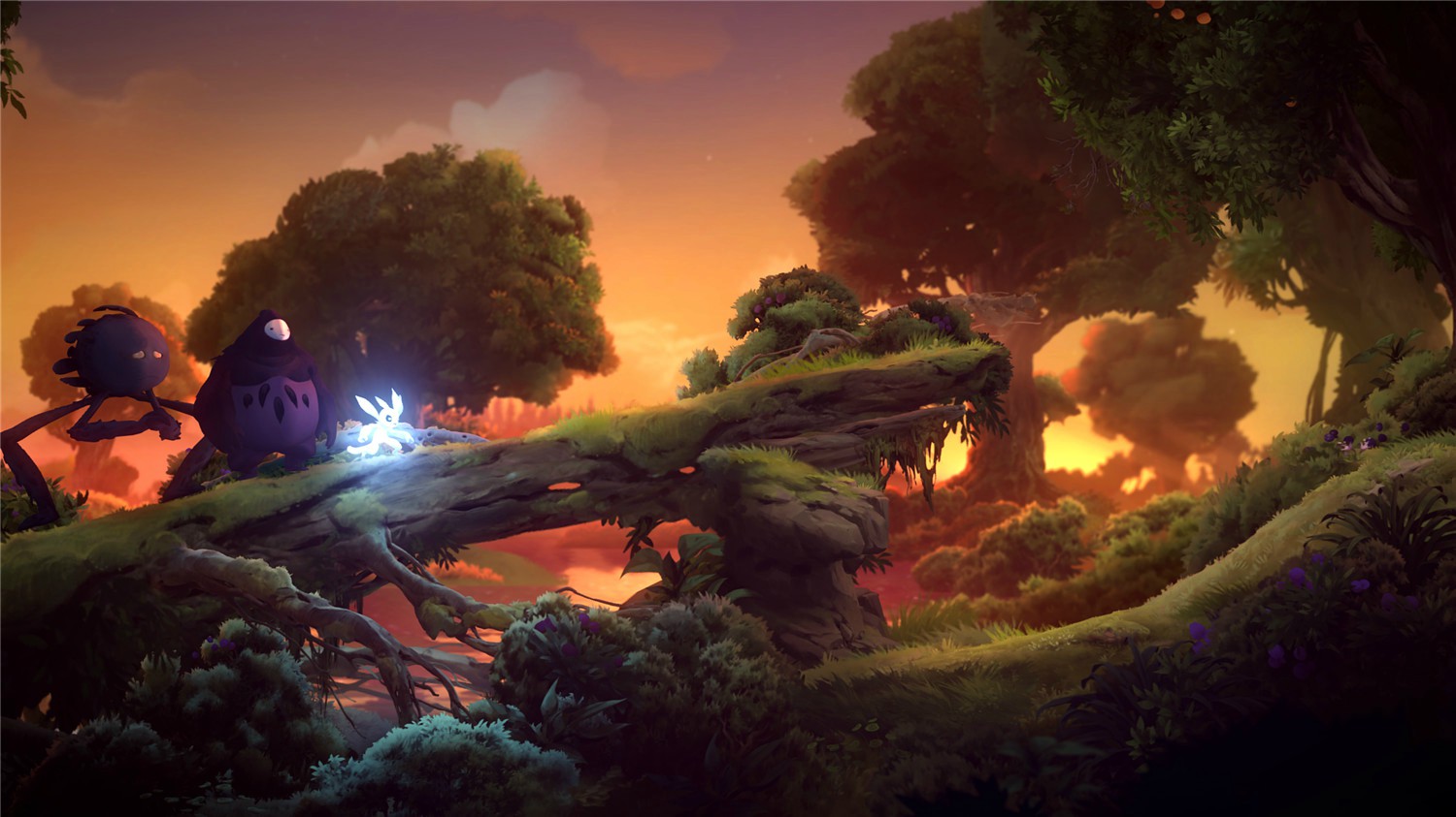 1604985504751252.jpg 5.jpg