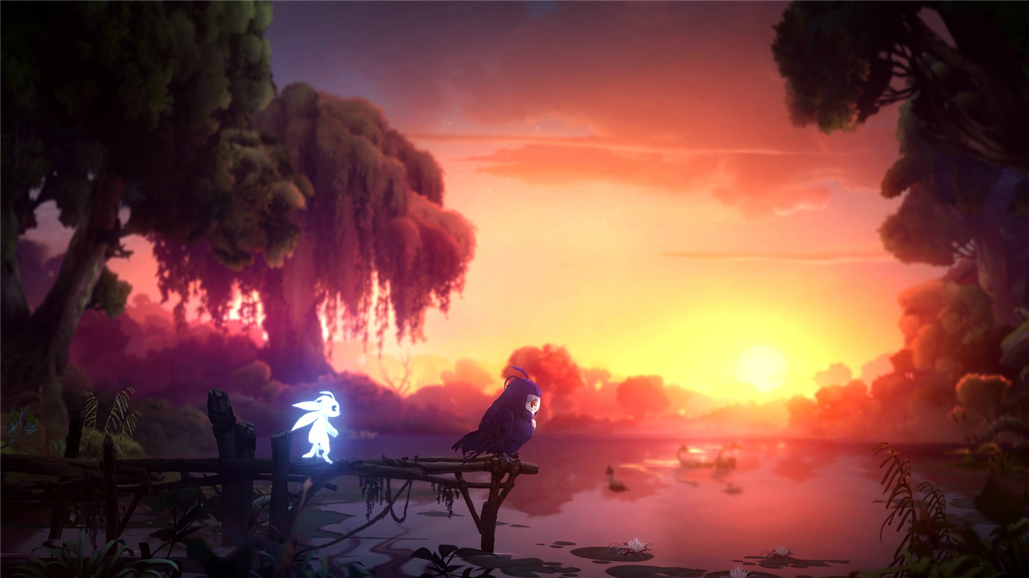 1604985508559196.jpg 6.jpg