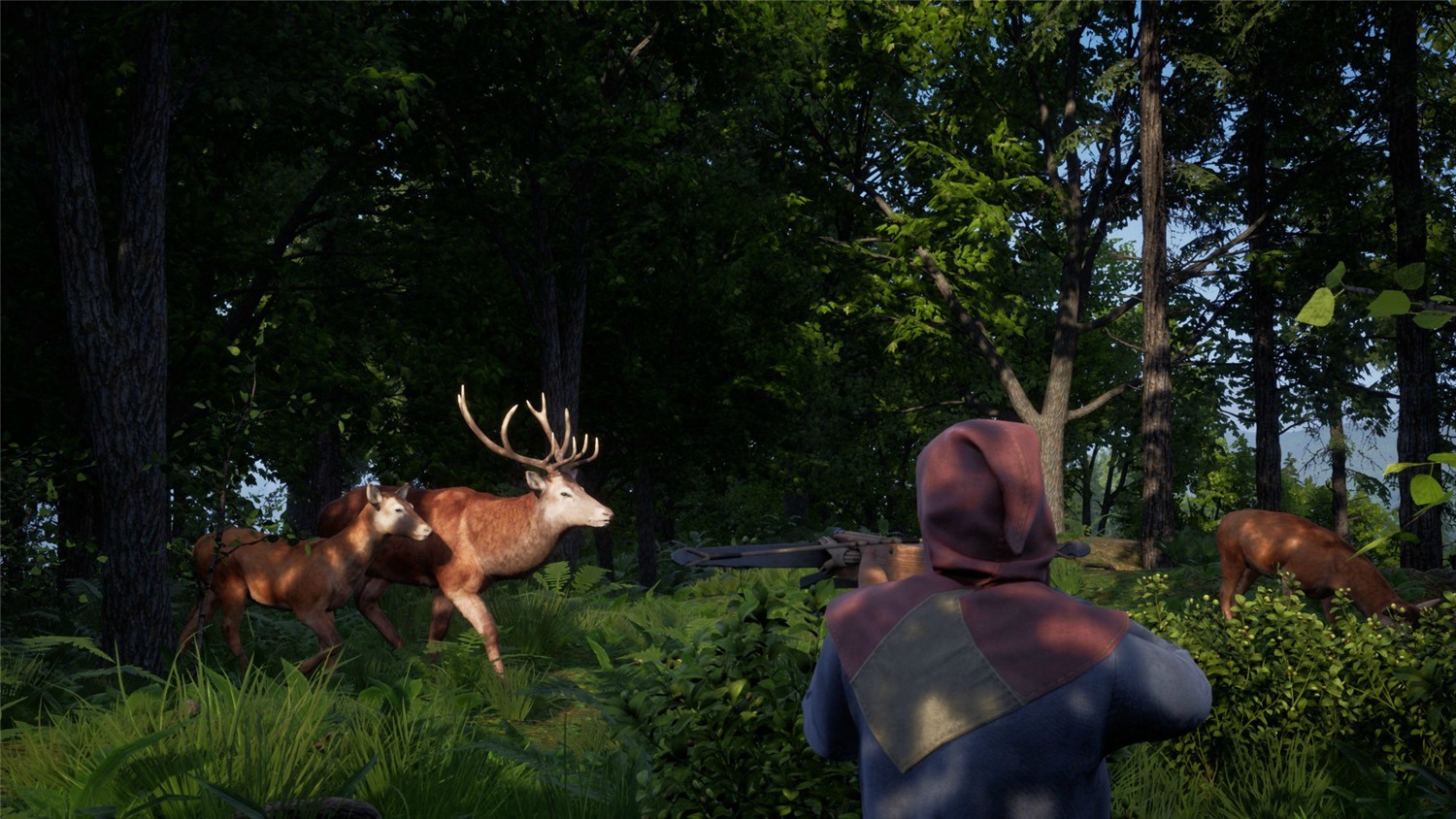 1606039410909826.jpg 2.jpg