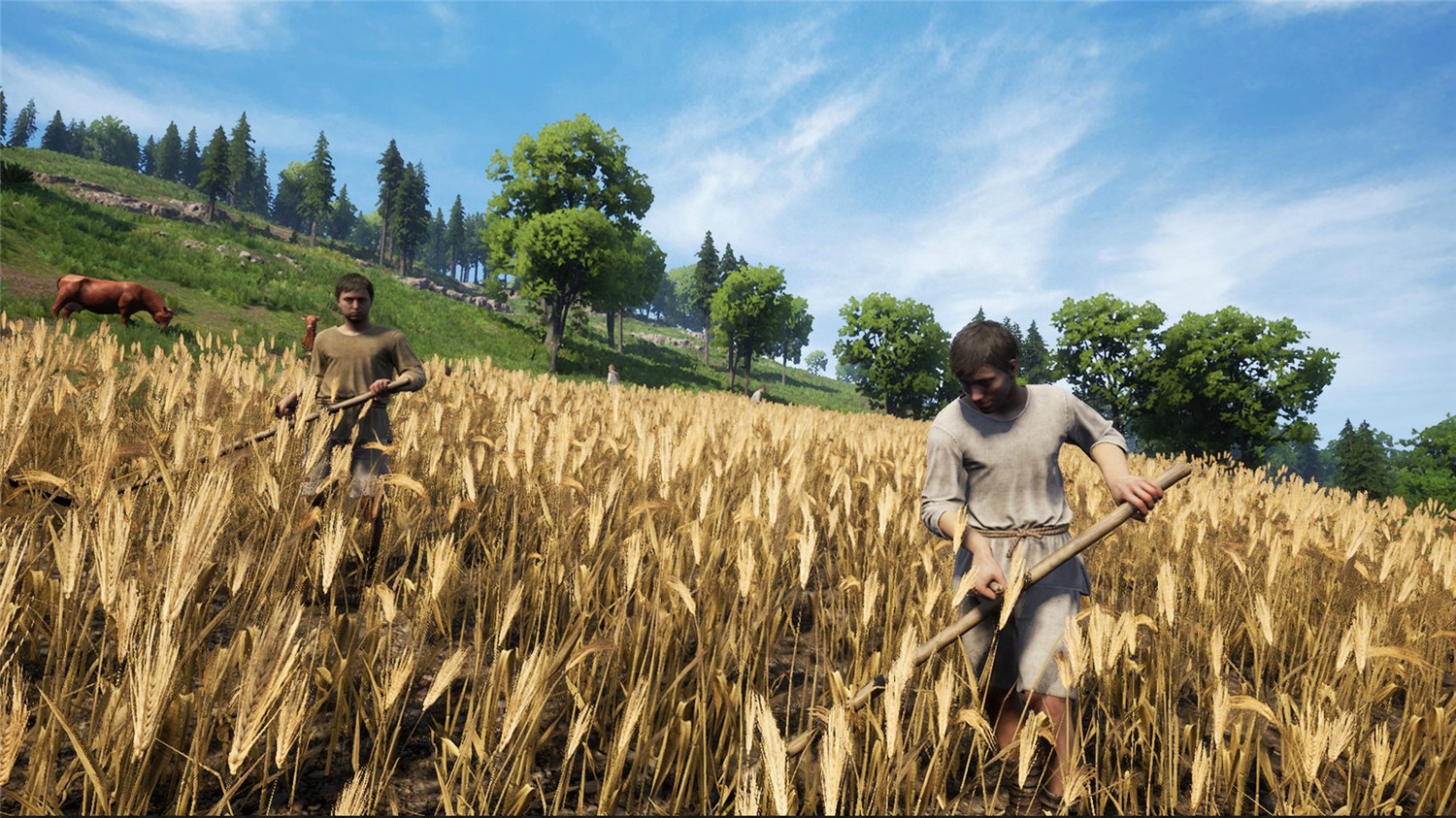 1606039419626715.jpg 5.jpg