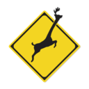 《非常普通的鹿》v3.0.5中文版