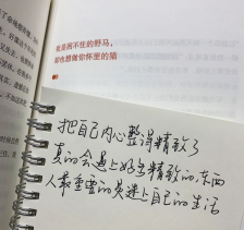 歌曲分享：书生（demo）