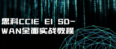 思科CCIE EI SD-WAN全面实战教程