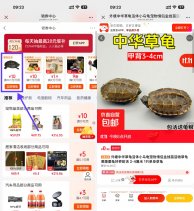 京东京喜0.9亓撸小乌龟包邮