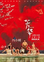 芳华B站3000万解读+芳华未删版4K60FPS